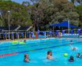 Children swim and play in a bright blue pool surrounded by trees and shaded areas, enjoying a sunny day.