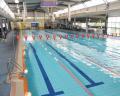 Indoor swimming pool with clear water, lane markings, and colorful lane dividers, featuring swimmers in action.