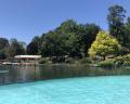 A serene lake with clear blue water, surrounded by lush greenery and a distant cabin visible through the trees.