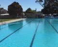 A bright outdoor swimming pool with clear blue water and lane markers, surrounded by trees and a clear blue sky.