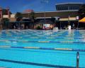 A vibrant outdoor swimming pool with lanes, surrounded by palm trees and a modern building, under a clear blue sky.