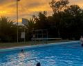 A swimmer dives into a pool during sunset, with palm trees and a diving board visible in the background.