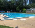 A clear blue swimming pool surrounded by a concrete deck, with green trees and a building in the background under bright sunlight.