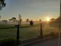 A green golf course with net surrounded by trees and low fog. 