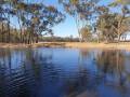 A tranquil pond reflecting blue skies and surrounded by tall eucalyptus trees on a calm day.