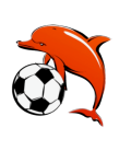 An orange dolphin playfully holding a black and white soccer ball, emphasizing a fun and sporty theme.