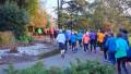 A group of runners in colorful attire jogging along a scenic path surrounded by greenery and trees in the early morning light.