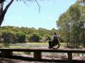 A picture depicting a bridge on the walk with a wheelchair user on it